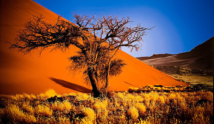 Namíbia 5